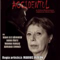 Accidentul