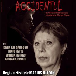 Accidentul