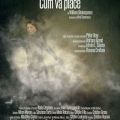 Cum vă place