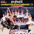 Regalul Baletului Rus - Lacul Lebedelor