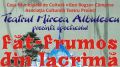 Făt Frumos din lacrimă