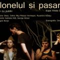 Colonelul şi Păsările