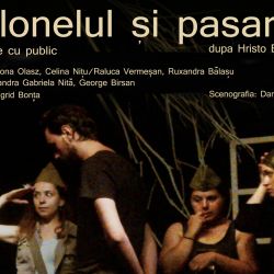 Colonelul şi Păsările