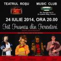 Făt Frumos din Ferentari