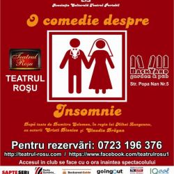 O comedie despre insomnie