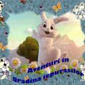 Aventuri &icirc;n grădina iepuraşilor