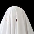 Ghost - A Real Cartoon