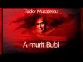 A murit Bubi!
