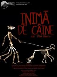 Inimă de câine