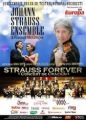 Johann Strauss şi amicii săi