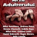Arta adulterului