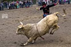 Rodeo