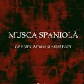 Musca spaniolă