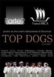 Top dogs