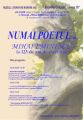 Numai Poetul