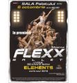Flexx Ballet