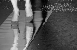Aleargă, fals jurnal de jogging