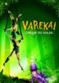 Cirque du Soleil - Varekai