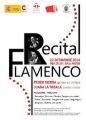 Recital de chitara flamenco