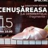 Imagini Cenuşăreasa