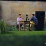Imagini Raţa sălbatică