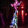 Imagini Cirque du Soleil - Varekai