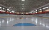 Patinoarul Olimpic