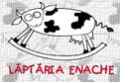 Laptaria Enache Laptaria Enache