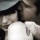 simona_k