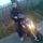 ovidiu2008